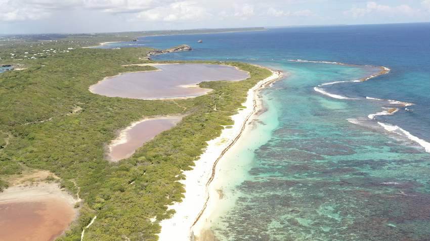 Les Salines | Saint-François